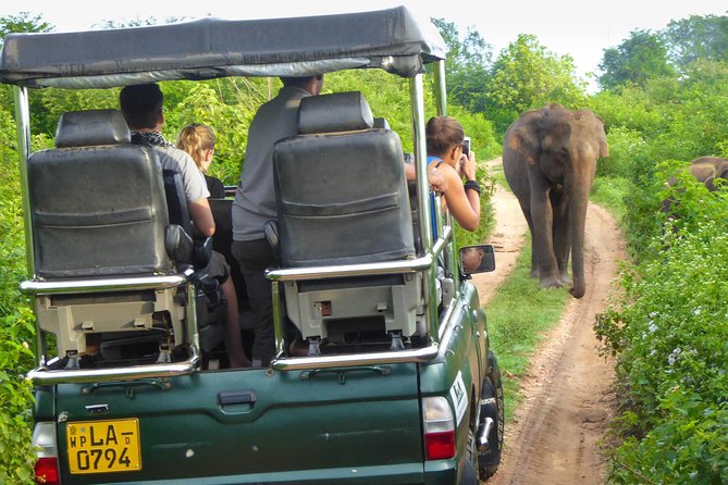 Safari at Udawalawe National Park - Pricing and Booking Details