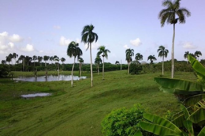 Safari From Punta Cana! - Meeting and Pickup