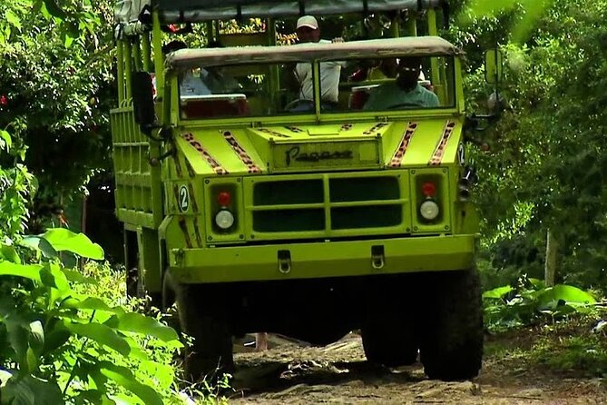 Safari From Punta Cana - Activities