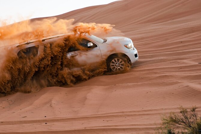 Safari With BBQ Dinner - Fun Activities to Enjoy