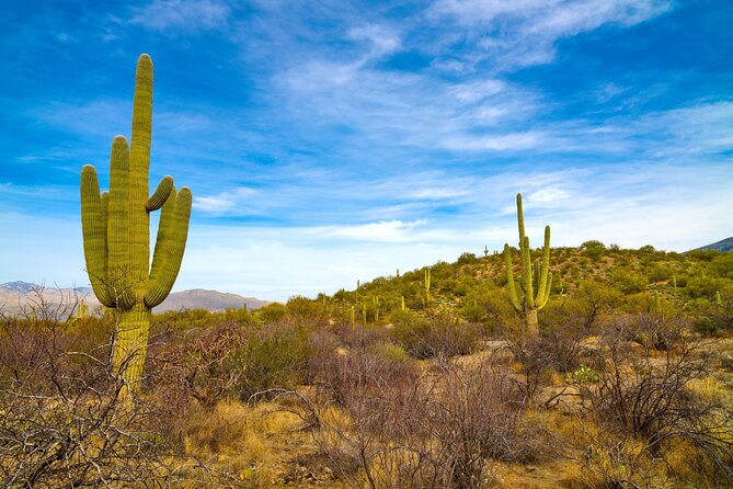 Saguaro National Park Self-Guided Driving Audio Tour - Cost-Effective and Multi-Day Exploration