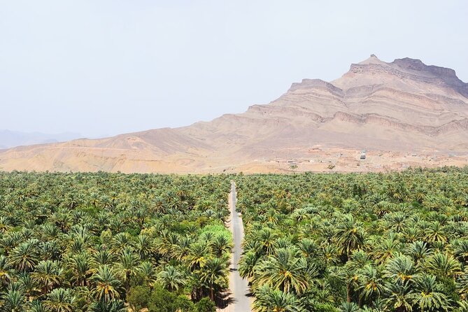 Sahara Adventure in 4 Days - Day-by-Day Itinerary