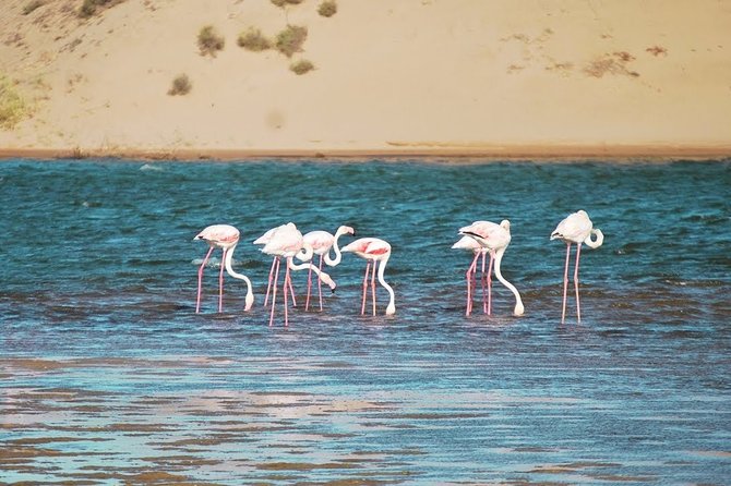 Sahara Agadir in 4*4 1 Day With Lunch at the Villages Locals - Meeting and Pickup Details