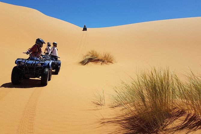 Sahara Camel Trekking - Over Night in the Camp - Transportation and Pickup