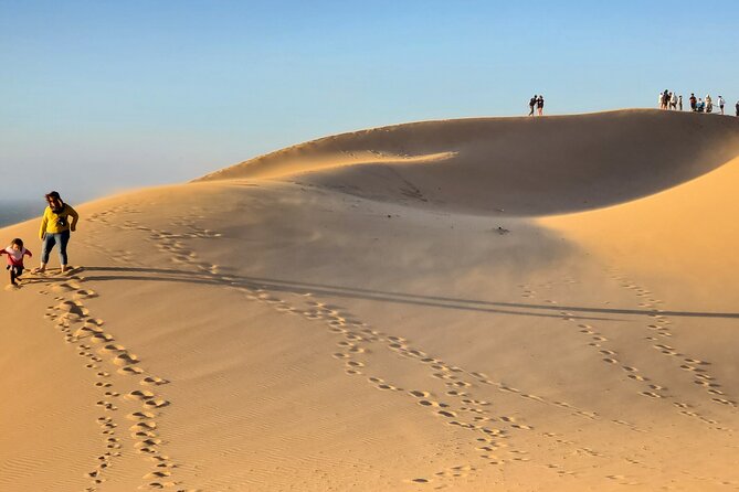 Sahara Dunes & Paradise Valley Day Trip From Agadir - Exploring the Botanical Garden and Argan Cooperative