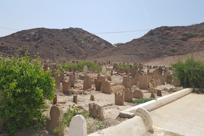 Salalah East & West Combination(Salalah Tours):Oman Shore Excursions - Itinerary Highlights