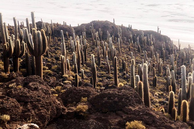 Salar De Uyuni. 2 Days 1 Night. Spanish Guide. Volcan Tunupa Route. Private Tour! - Exclusions