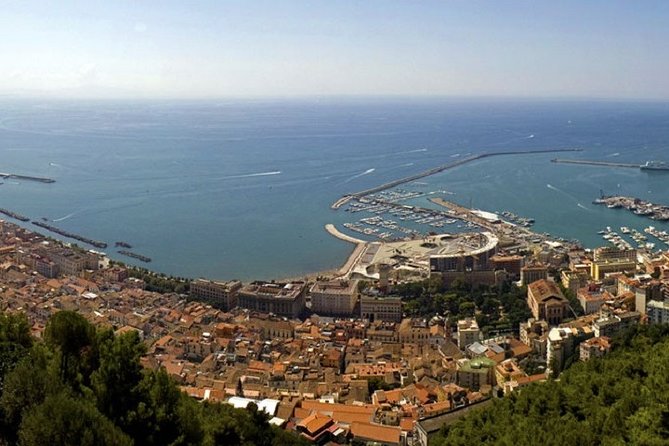 Salerno Shore Excursion: Private Pompeii Tour - Pricing and Booking Information