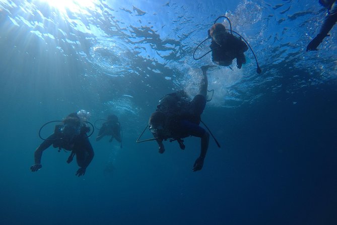 Salou Private Beginner Scuba Diving Course  - Tarragona - Scheduled Start Time and Arrival