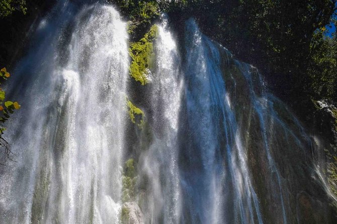 Samana Tours (With Whales) Full Day Excursion! All Inclusive Tour! - Included Activities