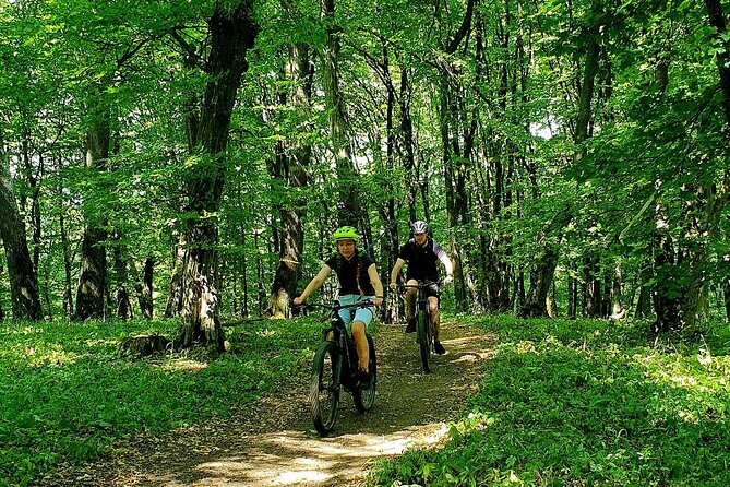 Sambata De Sus: E-Bike Guided Tours - Meeting Point and Pickup