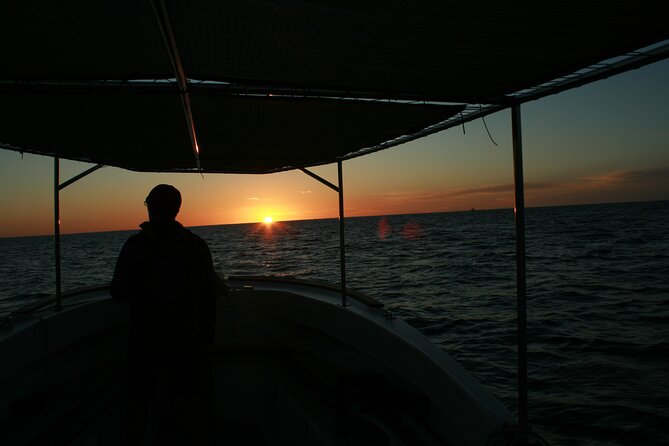 San Jose Del Cabo Small-Group Sunrise Whale Watching - Health and Safety Information