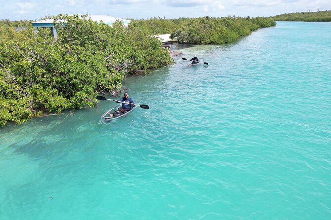 Sand Bar and Mangrove Forest Kayak Tour Grand Turk Island - Meeting and Pickup Details