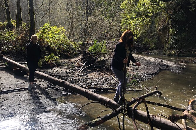 Santa Cruz Redwoods Forest Therapy - Guided Exploration of Trails