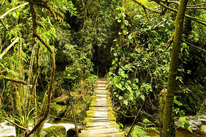 Santa Rita Waterfall and Salento Hike Tour - Hiking Experience