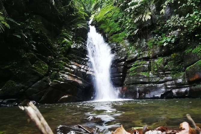 Santa Rita Waterfall - Tour Inclusions and Pricing