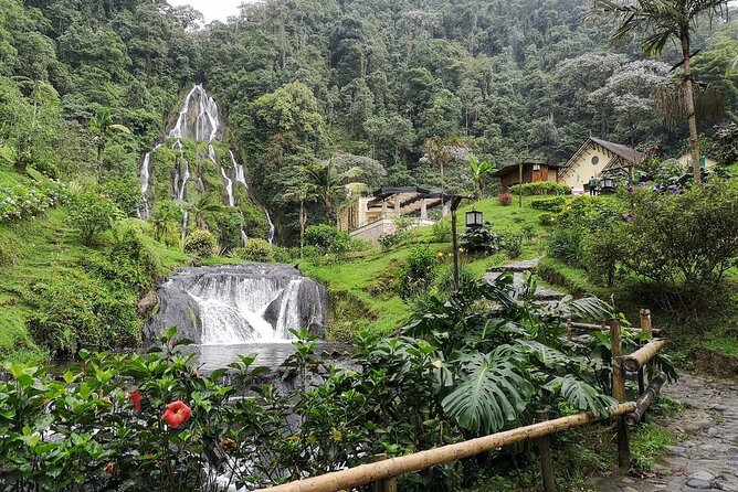 Santa Rosa De Cabal and Hot Springs Day Trip - Pickup Information
