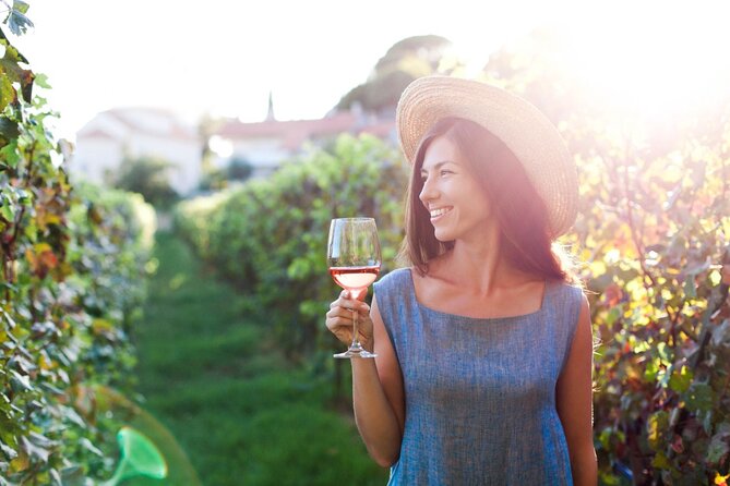 Santillana Uncorked: A Wine Tasting Adventure - Taking in the Winemaking Process