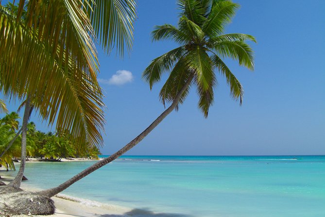 Saona Island From Santo Domingo - Group Size and Accessibility