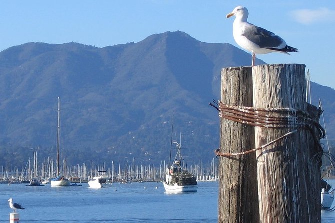 Sausalito Ferry From Pier 41, San Francisco - Exploring Sausalitos Highlights