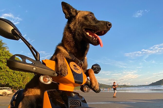 Scooter Rentals in Manuel Antonio - Booking and Confirmation