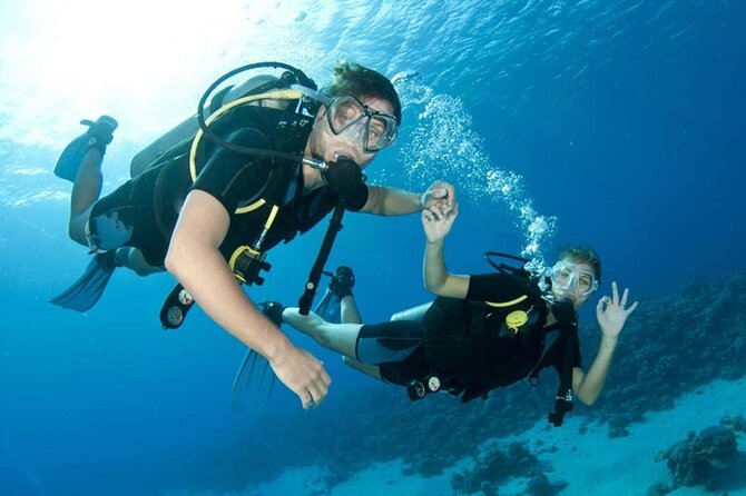 Scuba Diving Activity in Dubai With Hotel Pickup - Accessibility and Health Considerations