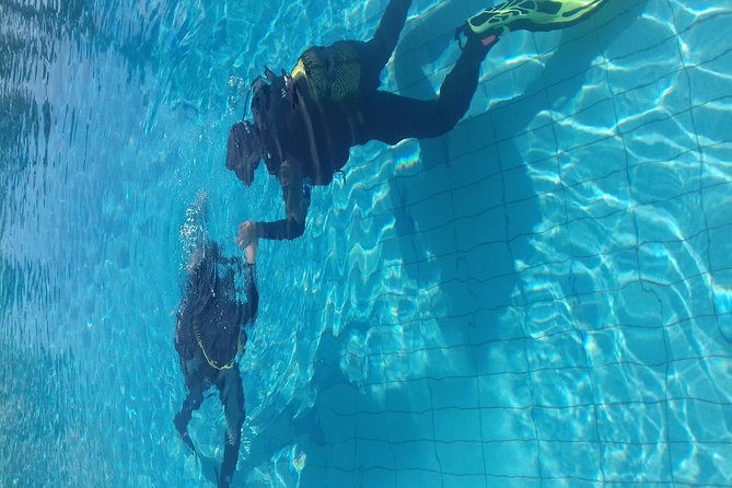 Scuba Diving Courses or Try Diving PADI or SSI - Schedule and Availability