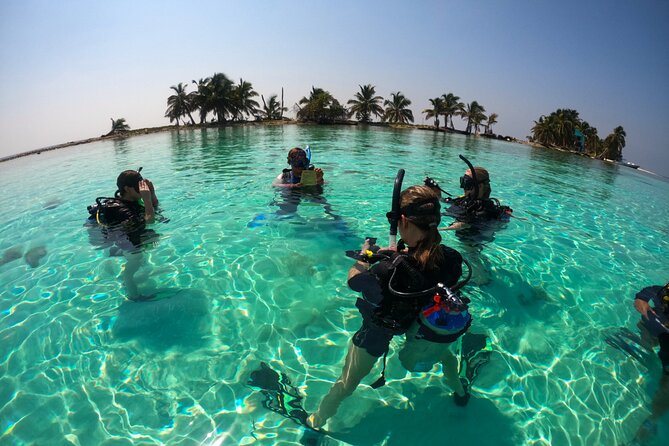 Scuba Diving for Beginners - Preparing for the Dive