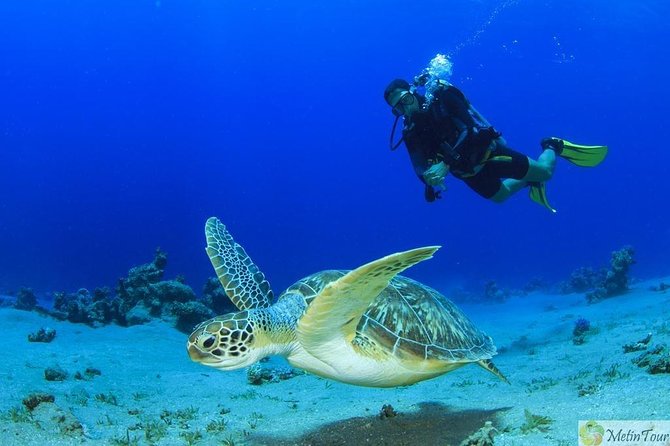 Scuba Diving for Beginners With Lunch in Fethiye - Itinerary Details