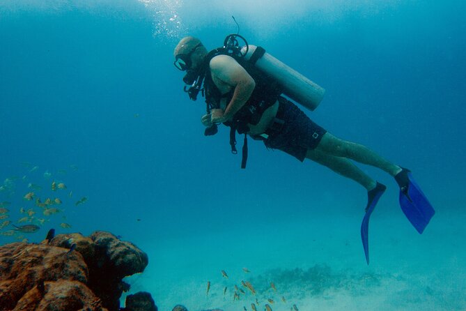 Scuba Diving in Cancun FREE Photos/Videos Beginners Welcomed! - Meeting Point and Schedule