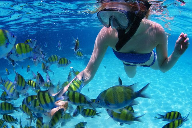Scuba Diving Trip: Diving, Transfers, and Lunch - Hurghada - Itinerary and Inclusions