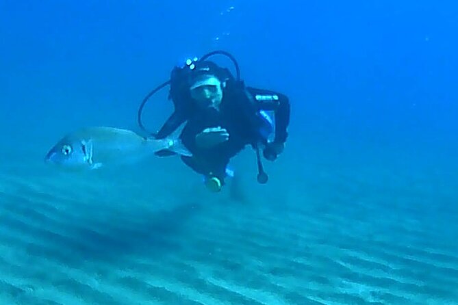 Scuba Diving With Expert Instructor - Schedule and Availability