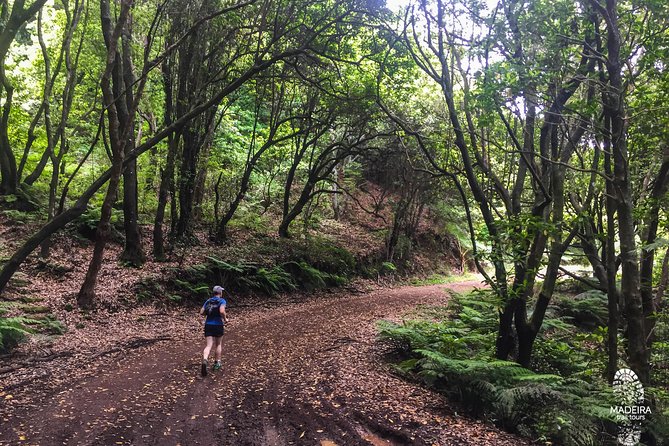 Sea 2 Mountain Running Tour (Moderate-Hard) - Insurance and Safety