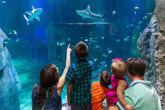 SEA LIFE Aquarium Arizona Admission Ticket - Educational Talks and Demonstrations