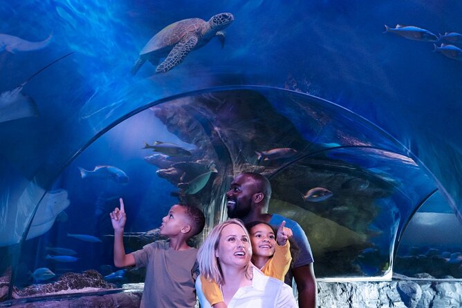 SEA LIFE Aquarium Grapevine Admission Ticket - Admission Ticket and Inclusions