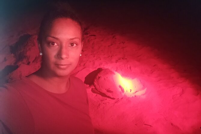 Sea Turtle Nesting Observation on Sal Island - What to Expect During the Tour