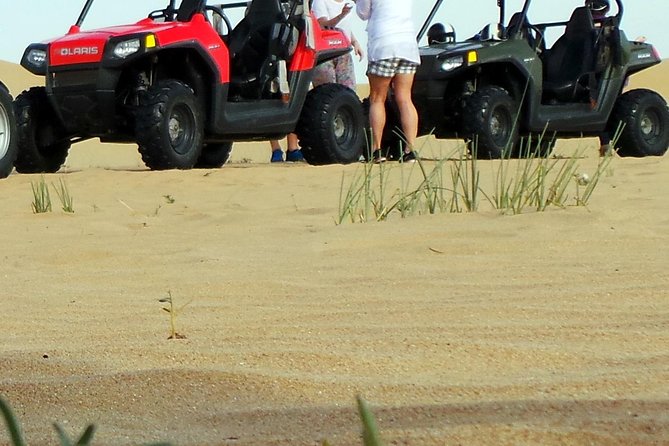 Self-Drive Buggy (Shared Buggy-2 People) or Quad Bike Safari - Choosing Between Buggies and Quads