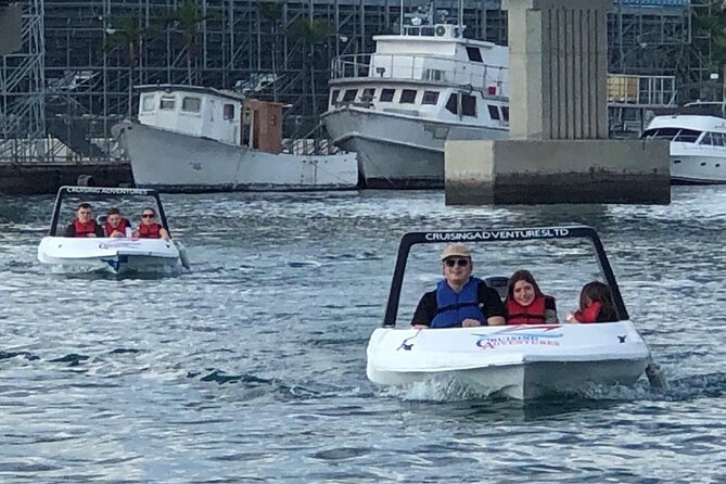 Self Drive Speedboat and Swim With the Pigs - Reviews Summary