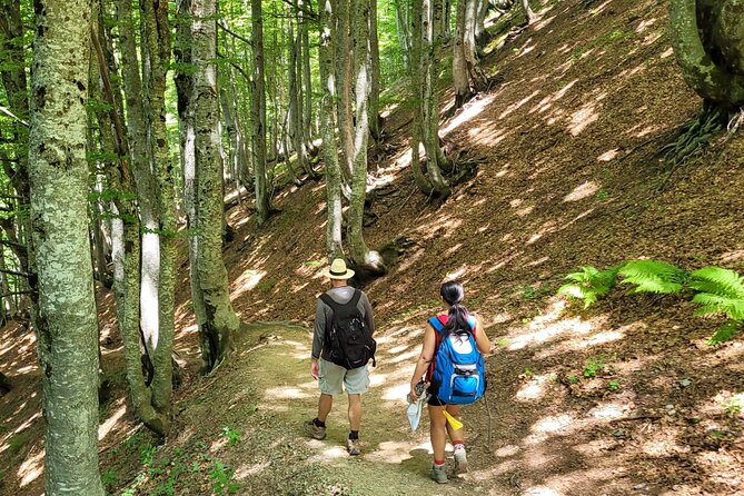 Self-Guided Hiking Tour: Theth, Valbona & Koman Lake in 3 Days - Meeting Points and Logistics