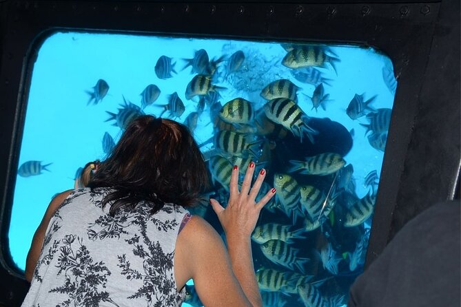 Semi Submarine From Hurghada, Makadi, Hurghadatogo - Tour Duration and Highlights