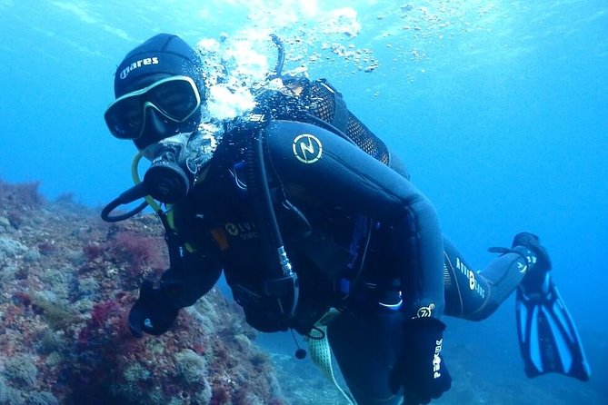 Sesimbra Dive Discovery - Pickup Options