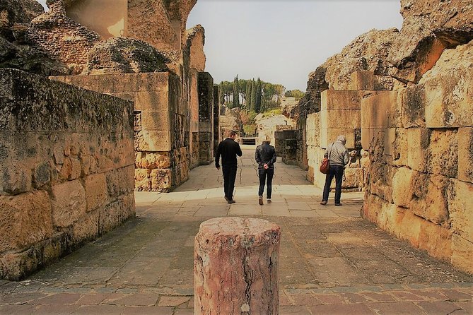 Seville: Games of Thrones and Roman Empire Italica Tour - Tour Inclusions