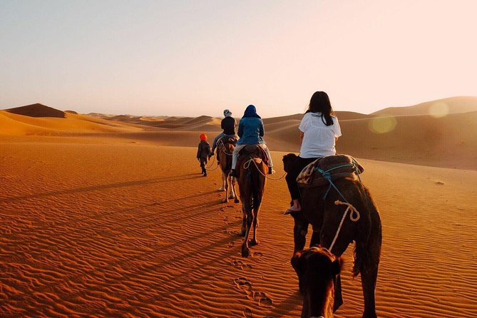 Shared Group Fez To Marrakech via Merzouga Desert Tour 2 Days - Itinerary Overview