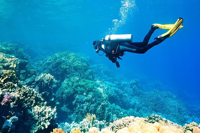 Shared Scuba Diving Experience on Easter Island One Dive Only - Exploring the Pacific Ocean Around Easter Island