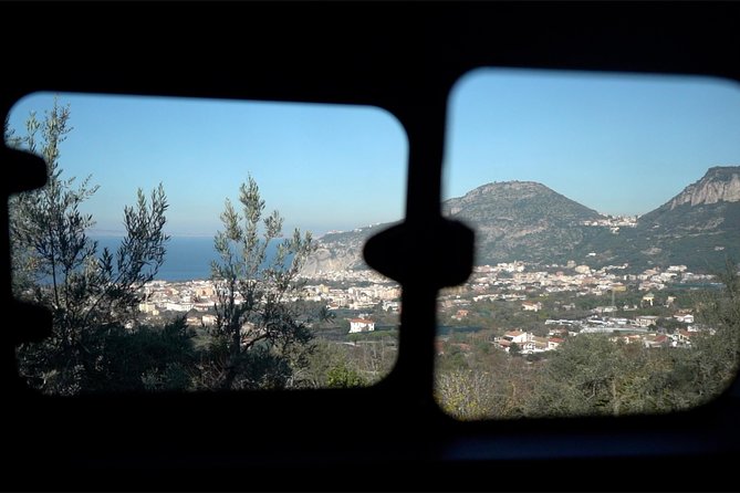 Shared Transfer From Naples Airport to Positano - Vehicle and Accessibility