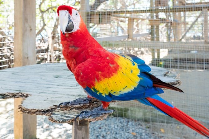 Shore Excursion: Daniel Johnson Sanctuary Park and City Tour - Pickup Information
