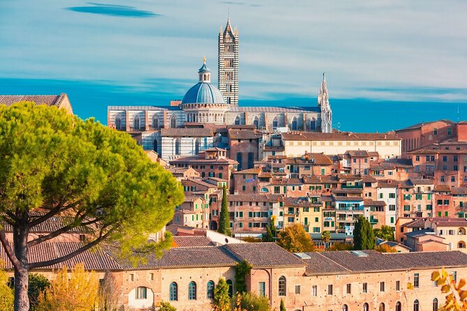 Siena Scavenger Hunt and Highlights Self-Guided Tour - User Reviews and Feedback