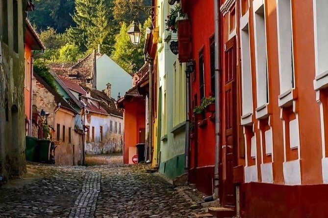 Sighisoara and Viscri UNESCO Day Tour From Brasov - Exploring Viscri Village