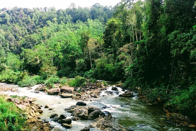 Sinharaja Rainforest Private Tour - Key Features and Inclusions