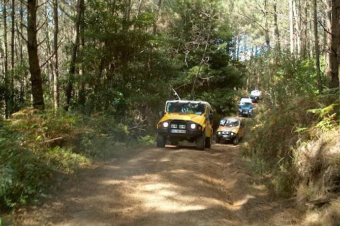 Sintra Jeep Tour Review: An Unforgettable Adventure - Breathtaking Scenery